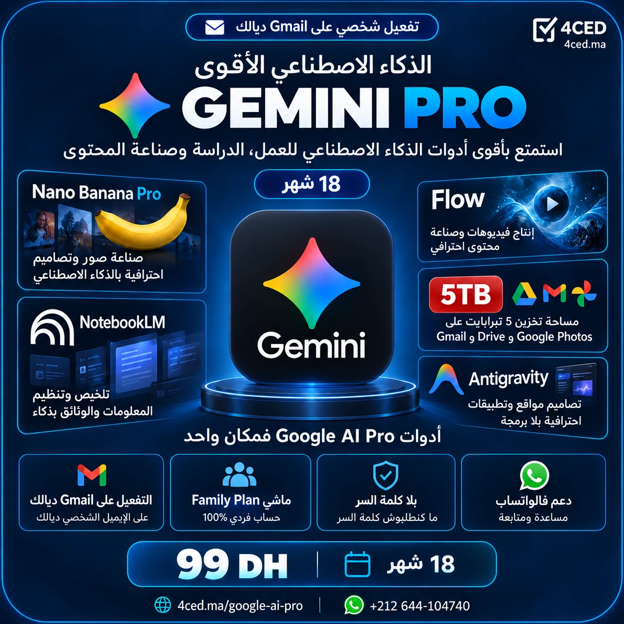 Google AI Pro / Gemini