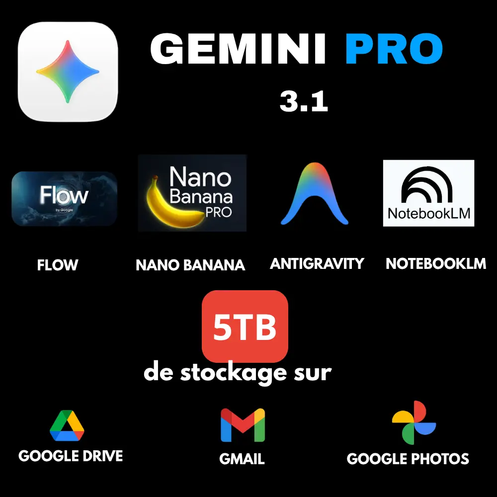 Google AI Pro / Gemini